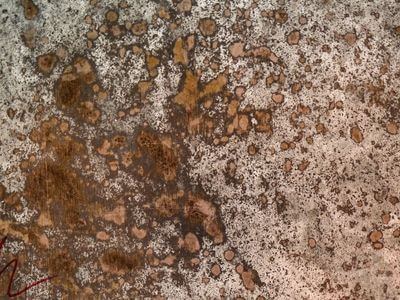 Professional water damage restoration services in Los Angeles - National Disaster Team